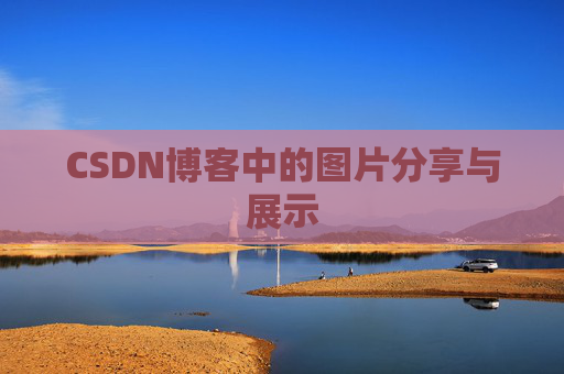 CSDN博客中的图片分享与展示